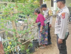 Lahan Pekarangan di Sekotong Jadi Contoh Ketahanan Pangan Lokal