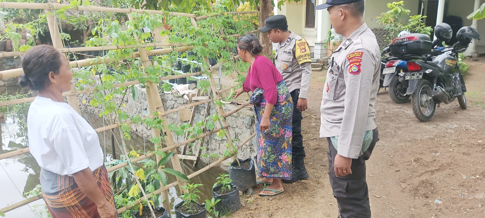 Dukungan Polsek Sekotong, Memotivasi Masyarakat untuk Optimalisasi Lahan Pekarangan