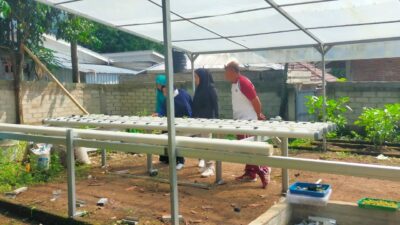 Berkebun di Pekarangan, Meningkatkan Ketahanan Pangan Desa