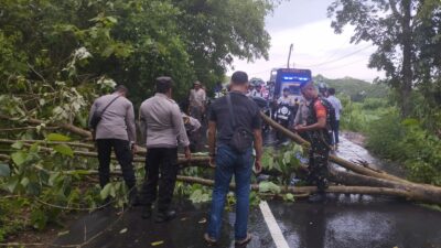 Polsek Gerung Turun Tangan: Pohon Tumbang Hambat Akses, Polisi Segera Tanggap!