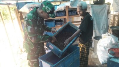 Kolaborasi Babinsa dan Warga: Pengembangan Usaha Maggot untuk Kurangi Limbah Organik