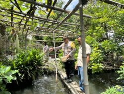 Dukung Program Ketahanan Pangan, Kasat Binmas Polres Bima Kota Sambangi Usaha Budidaya Ikan di Kelurahan Nungga