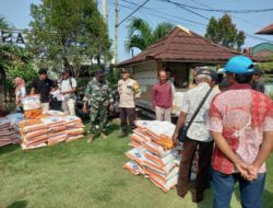 Polsek Jereweh Lakukan Pendampingan Pendistribusian Bantuan Bibit Jagung untuk Swasembada Pangan di Kec. Jereweh