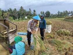 Polda NTB Aktif Beri Solusi, Jalin Silaturahmi dan Bantu Panen Padi