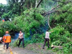 Bencana Puting Beliung di Batulayar Lombok Barat, 16 Rumah Mengalami Kerusakan