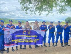 Dukung Penuh Ketahanan Pangan, Sat PolAirud Polres Bima Kota Lepas 10 Ribu Ekor Benih Bibit Ikan Bandeng