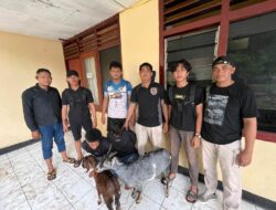 Curi Kambing untuk Foya-Foya, Dua Pelaku Disergap Tim Opsnal Polsek Sape