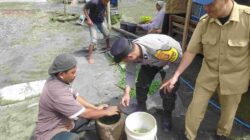 Pestisida Alami, Solusi Hemat dan Sehat untuk Petani Kediri