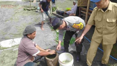 Pestisida Alami, Solusi Hemat dan Sehat untuk Petani Kediri