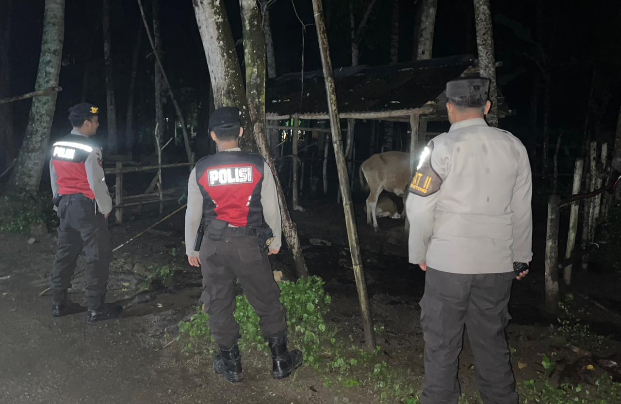 Sinergi Polisi-Warga Sekotong: Jaga Kamtibmas Lewat Patroli Malam