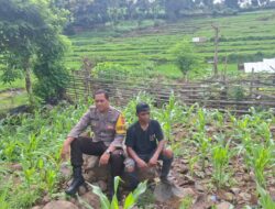 Bhabinkamtibmas Desa Pesa Sosialisasikan Pemanfaatan Pekarangan di So Wadu Pa’a