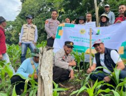 Polsek Wawo Laksanakan Kegiatan Penghijauan dan Penanaman Bibit Buah