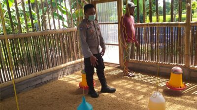 Bhabinkamtibmas Dukung Peternak Ayam di Lombok Barat, Ketahanan Pangan Makin Kuat!