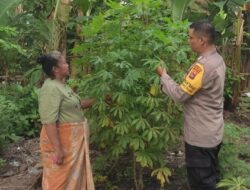 Ketahanan Pangan di Lombok Barat, Bhabinkamtibmas Jadi Penggerak Utama