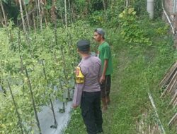Polres Loteng Terus Kampanyekan Pekarangan Bergizi di Masyarakat.
