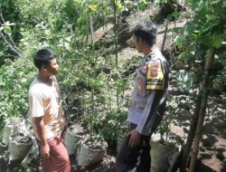 Ketahanan Pangan Dimulai dari Rumah! Bhabinkamtibmas Beri Dukungan