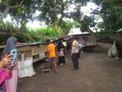 Sukseskan Ketahanan Pangan! Polsek Kuripan Ajak Warga Manfaatkan Lahan Pekarangan