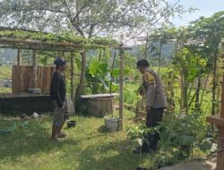 Ketahanan Pangan Kuat: Inisiatif Lahan Bergizi di Lombok Barat