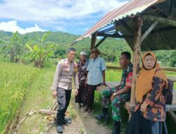 Bhabinkamtibmas Dukung Petani: Ketahanan Pangan Makin Kuat!