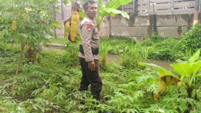 Bhabinkamtibmas Labuapi Edukasi Warga Soal Ketahanan Pangan