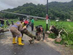 Bhabinkamtibmas Desa Manemeng Bersama Stakeholder Terkait Evakuasi Pohon Tumbang