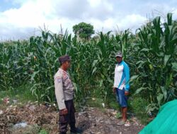 Polsek Manggelewa Dukung Ketahanan Pangan, Bhabinkamtibmas Doromelo Sosialisasikan Program Nasional