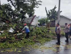 *Respon Cepat Polsek Kayangan Evakuasi Korban dan Pohon Tumbang *