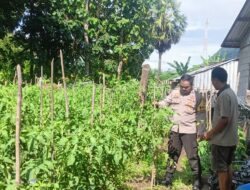 Bhabinkamtibmas Desa Sekongkang Bawah Lakukan Pendampingan Kegiatan Pengelolaan Pekarangan Pangan Bergizi