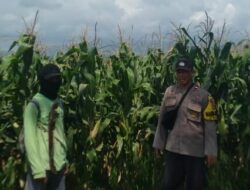 Bhabinkamtibmas Desa Tanju Sosialisasikan Ketahanan Pangan, Ajak Warga Manfaatkan Lahan Pekarangan