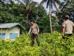 Bhabinkamtibmas Desa Mantar Kunjungi Warga Manfaatkan Pekarangan dengan Tanaman Bergizi