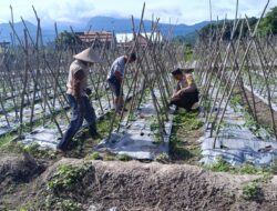 Dukung Ketahanan Pangan, Bhabinkamtibmas Desa Tarusan Sambangi Petani