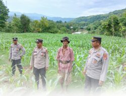 Dukung Ketahanan Pangan Nasional, Sat Binmas Polres Bima Kota Pantau Lahan Pertanian Warga
