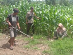 Bhabinkamtibmas Dukung Petani Optimalkan Lahan Jagung untuk Ketahanan Pangan