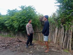 Polsek Hu’u Dukung Ketahanan Pangan, Pantau Lahan Pertanian di Daha