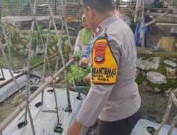 Bhabinkamtibmas Kelurahan Rite Dampingi Pengelolaan Pekarangan Pangan Bergizi