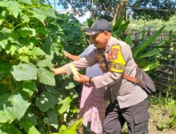 Bhabinkamtibmas Kelurahan Sambinae Laksanakan Pengecekan Pekarangan Pangan Bergizi (P2B)