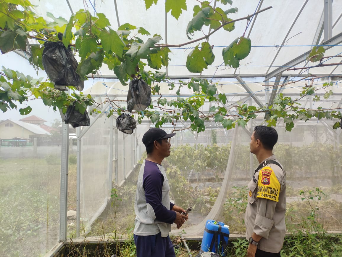 Ketahanan Pangan: Kisah Sukses Warga Lombok Barat Manfaatkan Pekarangan