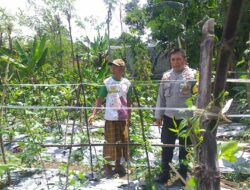 Bhabinkamtibmas Jagaraga Ajak Warga Optimalkan Pekarangan untuk Ketahanan Pangan