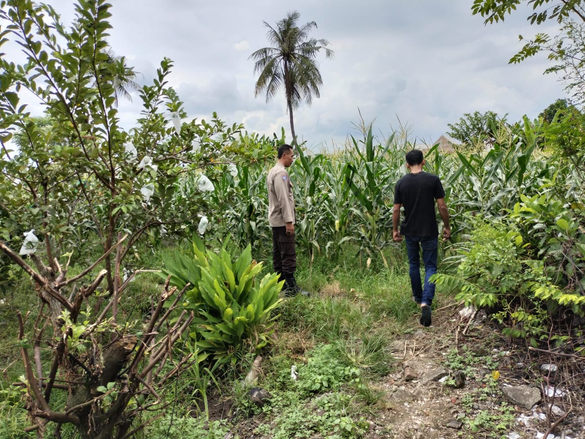 Bhabinkamtibmas Labuapi Dorong Petani, Ini yang Dilakukannya