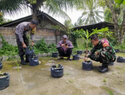 POLRES LOMBOK TENGAH BERSAMA TNI TERUS GALAKKAN PEKARANGAN BERGIZI DI TENGAH MASYARAKAT