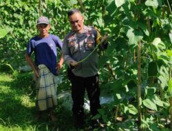 Bhabinkamtibmas Desa Kerembong Polsek Janapria Sambangi Lahan Warga Binaan Dukung Ketahanan Pangan