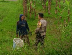 Ketahanan Pangan: Bhabinkamtibmas Turun ke Sawah