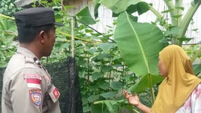 Monitoring Pekarangan Bergizi, Polri Dukung Ketahanan Pangan Desa