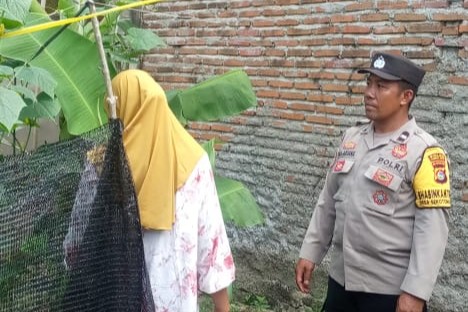 Pekarangan Bergizi di Sekotong Barat, Polri Berperan Aktif Dukung Ketahanan Pangan
