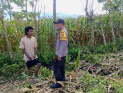 Bhabinkamtibmas Desa Marada Pantau Pengolahan Lahan Pertanian Warga