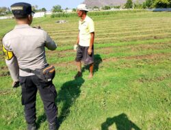 Bhabinkamtibmas Desa Maluk Lakukan Sambang ke Petani, Monitoring Pekarangan Pangan Bergizi