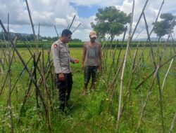 Dukung Ketahanan Pangan, Bhabinkamtibmas Kelurahan Kandai 1 Pantau dan Motivasi Petani