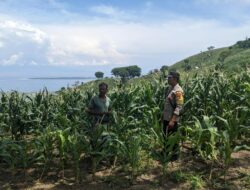 Bhabinkamtibmas Desa Mantar Lakukan Monitoring Ketahanan Pangan di Desa Binaannya