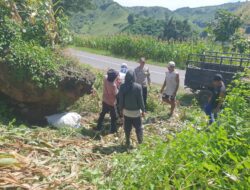 Bhabinkamtibmas Kelurahan Jatibaru Timur Pantau Panen Jagung Warga Binaan