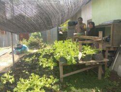 Bhabinkamtibmas Laksanakan Pengecekan Lahan Pekarangan Ketahanan Pangan Nasional